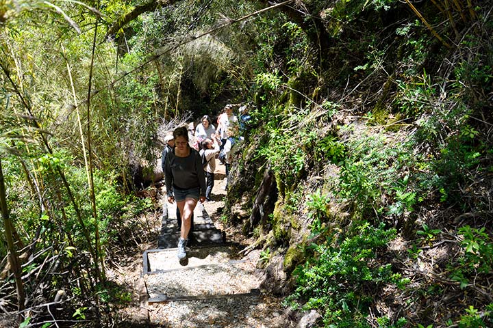 P.N. Los Alerces - Senderos - Trekking